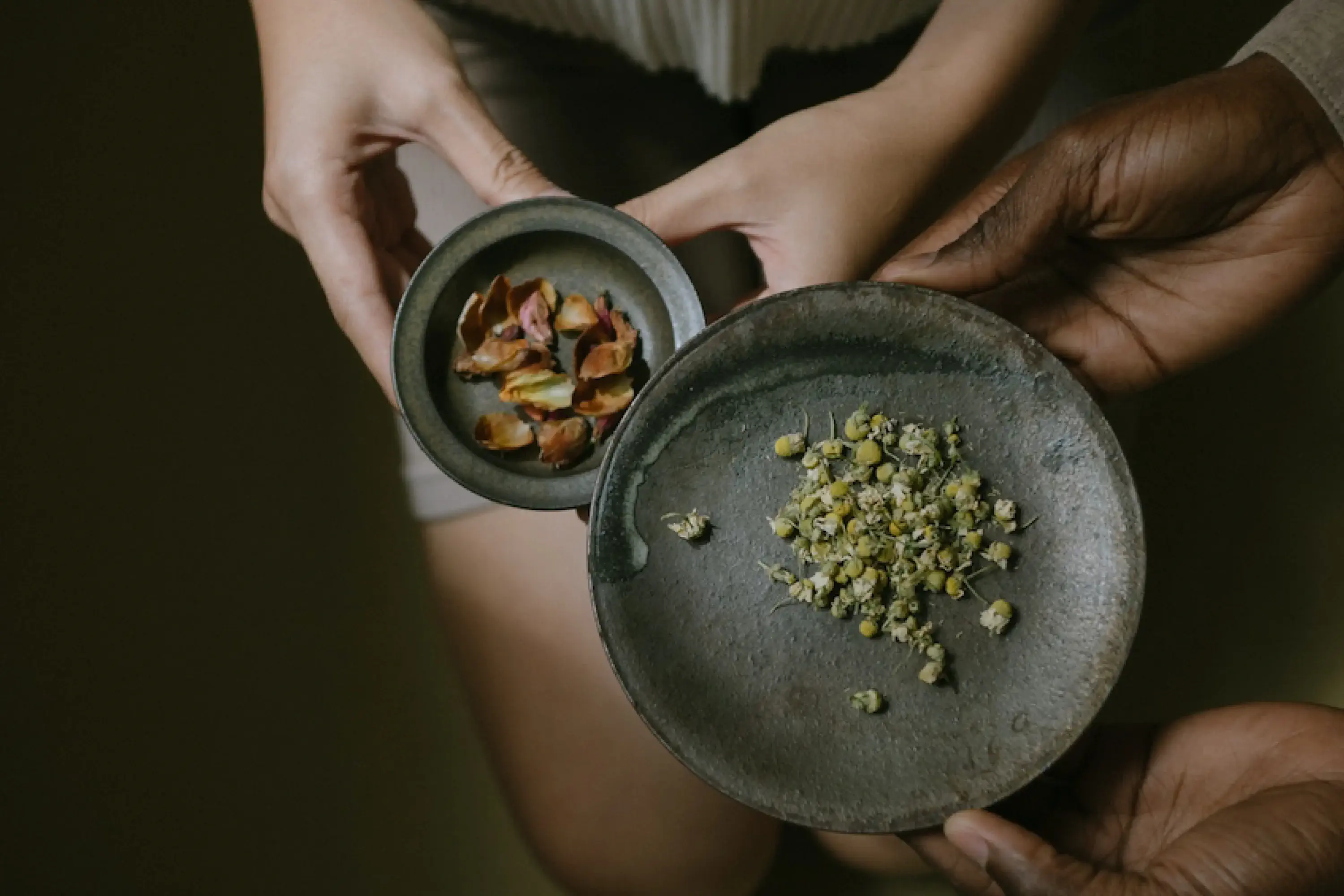 two sets of hands holding two plates of ried herbs